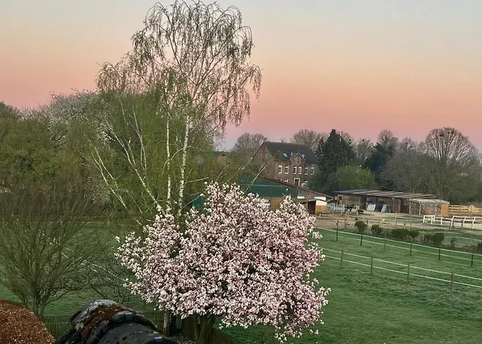 公寓 Suedsee Glueck *